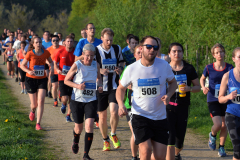 Viele Läuferinnen und Läufer auf einem Feldweg, im Vordergrund eine Person mit Startnummer 508.