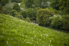 Mehrere Läufer auf einem Weg in einer grünen Landschaft mit Bäumen und einer Blumenwiese im Vordergrund.