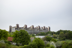 20220429_Campuslauf_websize_152