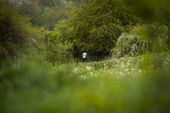 Person in weißem T-Shirt steht an einem Zaun in einer grünen Parklandschaft mit Bäumen und weißen Blüten.