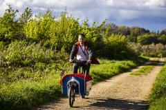Person fährt auf einem Fahrrad mit rotem und blauem Lastenanhänger auf einem Feldweg.