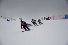 DSC07134