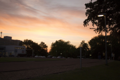 Sonnenuntergang über einem Weg mit Straßenlampen, Bäumen, Gebäuden und geparkten Autos.