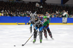 Eishockeyspieler in Kostümen auf dem Eis vor einer Zuschauermenge; einer führt den Puck.