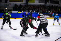 Eishockeyspiel auf dem Eis: mehrere Spieler, Schiedsrichter, Publikum auf der Tribüne.