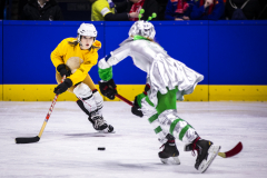 Zwei Eishockeyspieler in Kostümen kämpfen um einen Puck auf dem Eis.