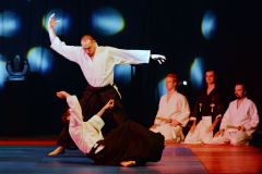 Aikido-Demonstration mit fünf Personen auf Matten, zwei im Vordergrund in Aktion.